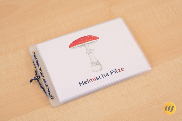 leseheft_pilze_titel_silb
