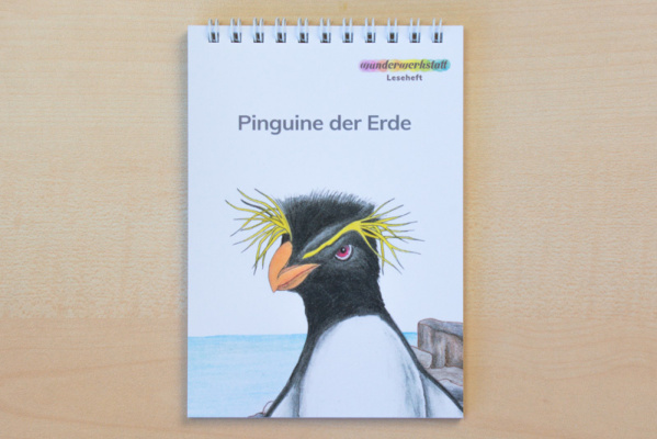 (Profidruck mit Spiralbindung - Druckschrift)
