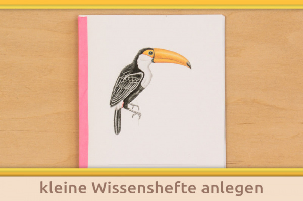 material_klassen_titel_2