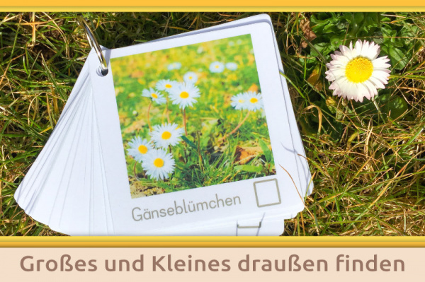 material_klassen_titel_4_127808750