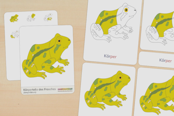 nomen_frosch_silben_titel_1