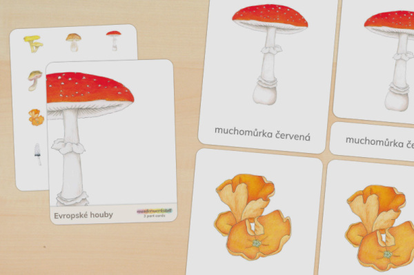 nomen_pilze_czech_titel_1