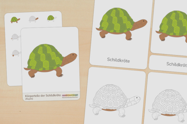 (Deutsch - Druckschrift - Download)