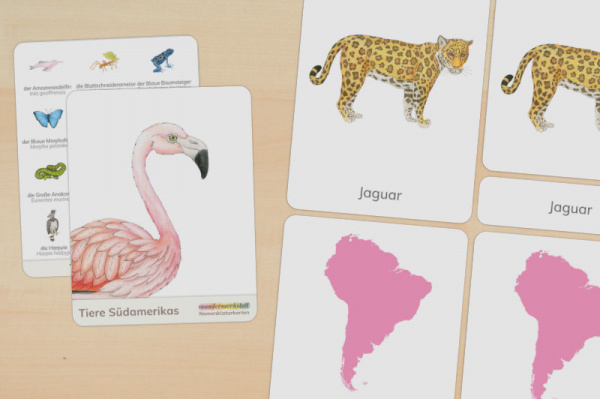 nomen_tiere_sa_down_titel_1