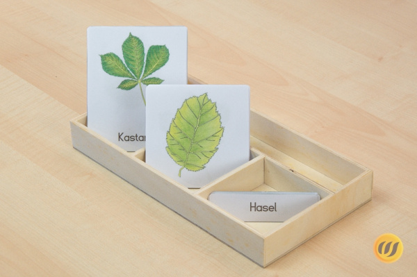 nomenklaturblaetter