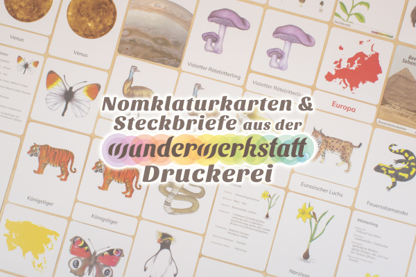 nomenklaturkarten_titel_druck_kategorie