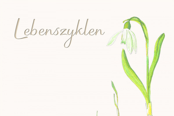 p-lebenszyklus