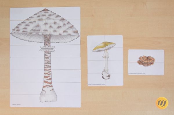 pilzepuzzle_1