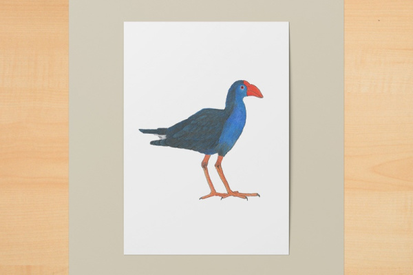 Pukeko A5