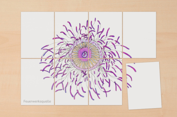 puzzle_quallen_2