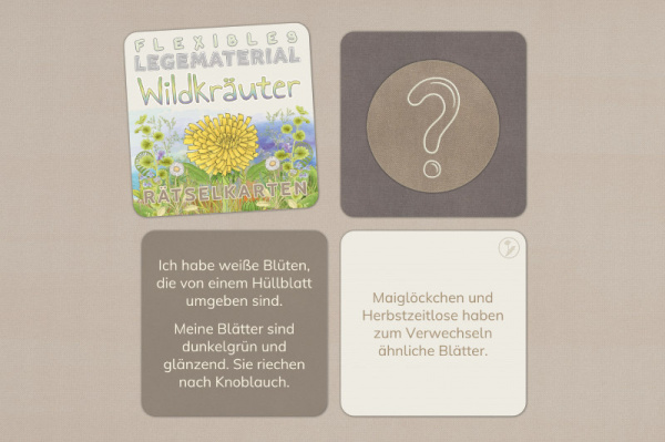 raetsel_wildkrauter__1