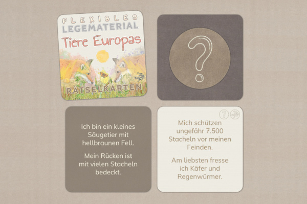 raetselkarten_europa_1