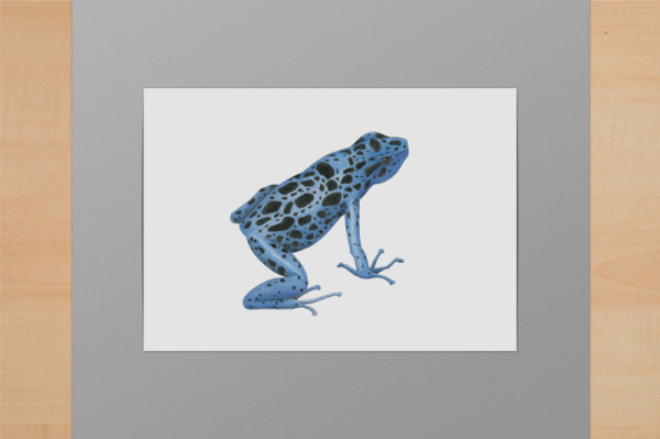 Blauer Baumsteiger A5