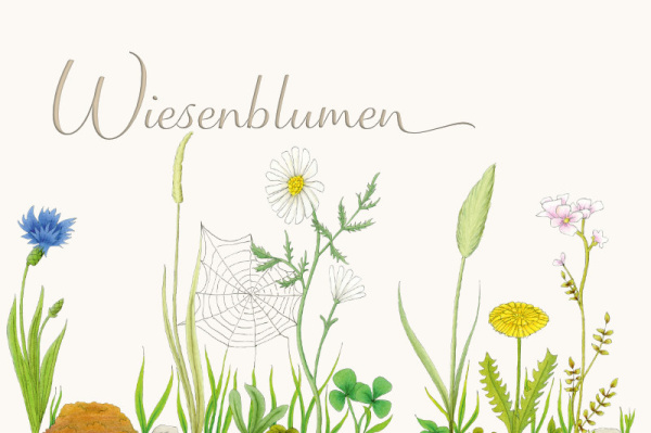 titel_wiesenblumen