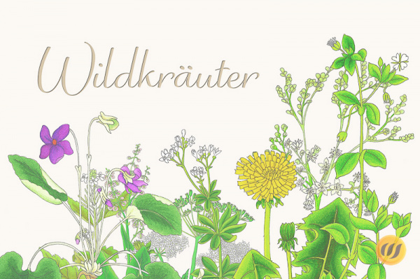 wildekraeuter