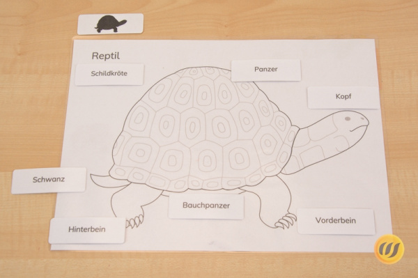 wirbeltieredruckschrift