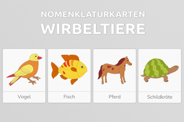 wirbeltieregesamtpaket