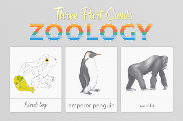 zoology_3part