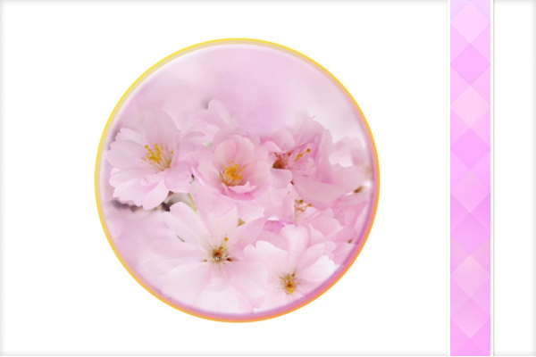 Download-Paket: Frühling _frhling_paket