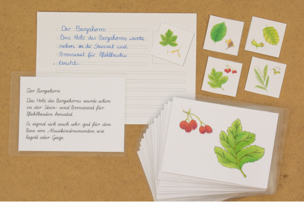 abschreibkartei_laub