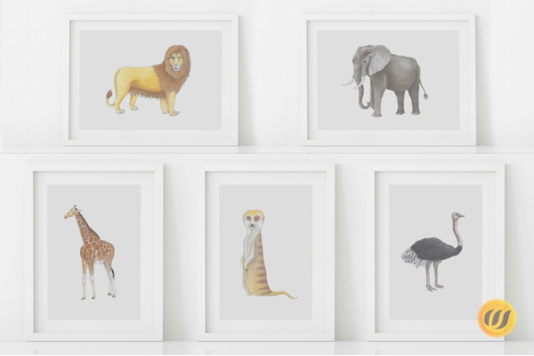 Tiere Afrikas Set (18 Zeichnungen) afrika_zeichnungen_set