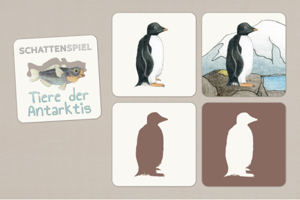 Schattenspiel Tiere der Antarktis antarktis_schatten_druck_1