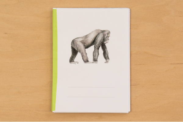 Arbeitsheft Tiere Afrikas (Download)