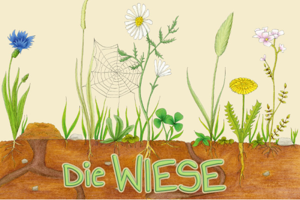 die_wiese