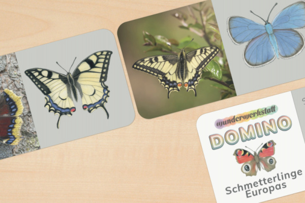 domino_schmetterling_1
