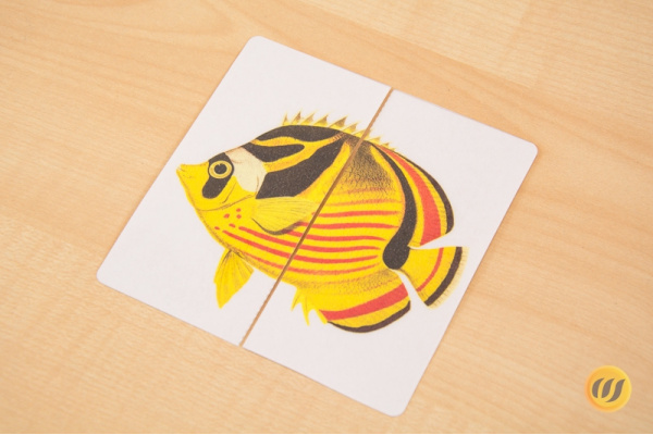 Mini-Puzzle Fische (Download)