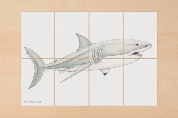 8-teilige Puzzle "Haie" hai_puzzle_8er_3