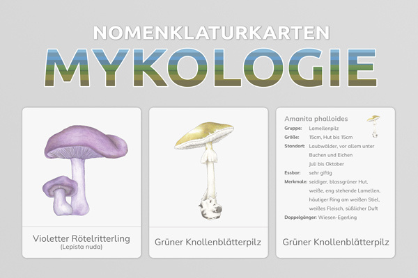 kat_mykologie