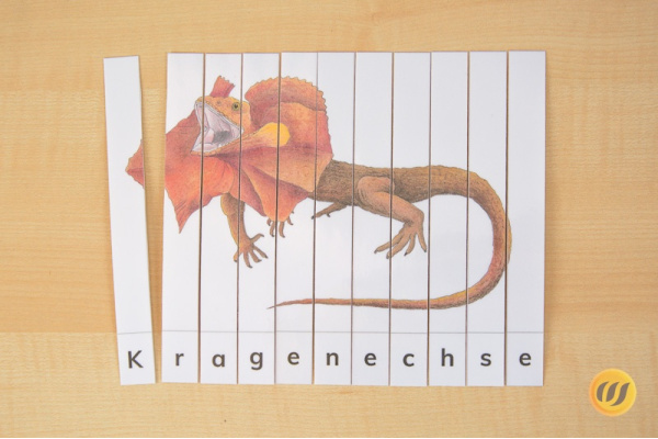 Tiere Australiens und Ozeanien Streifen-Puzzle (Download) Tiere Australiens und Ozeanien Streifen-Puzzle (Download)