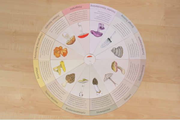 legekreis_pilze_druck
