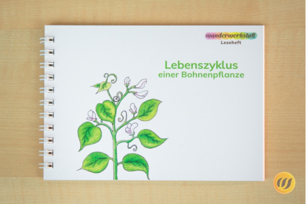 Leseheft: Lebenszyklus einer Bohnenpflanze - illustriert leseheft_bohne_gebunden_titel
