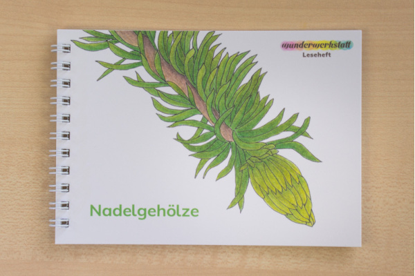 Leseheft 6 heimische Nadelgehölze leseheft_nadel_titel_2023
