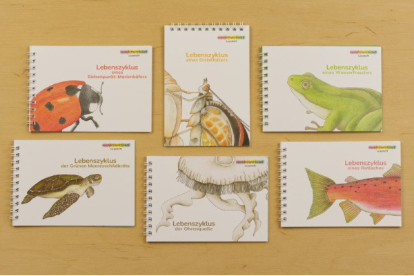Leseheftpaket Tier-Lebenszyklen - illustriert leseheft_paket_tierlebenszyklen