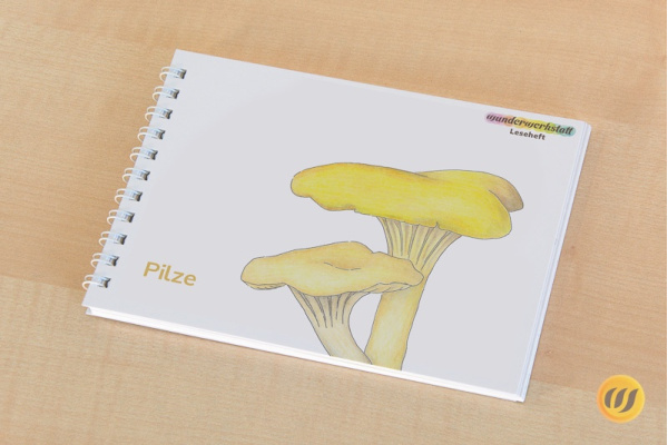Leseheft 14 Pilze - illustriert Leseheft 14 Pilze - illustriert