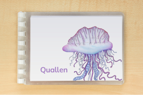 Leseheft "Quallen" - illustriert leseheft_quallen_download_2