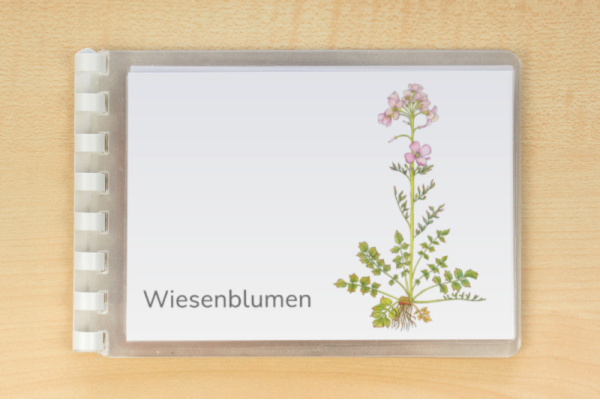 Leseheft 14 Wiesenblumen - illustriert leseheft_wiesenblumen_download_1