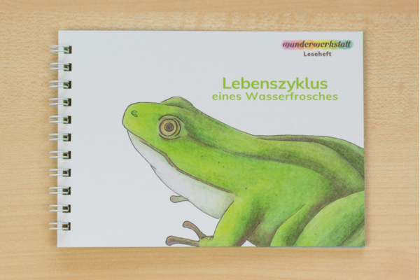Leseheft: Lebenszyklus eines Wasserfrosches - illustriert Leseheft: Lebenszyklus eines Wasserfrosches - illustriert