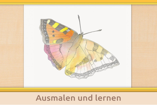 material_klassen_titel_12