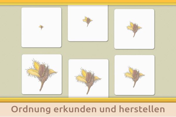 material_klassen_titel_19
