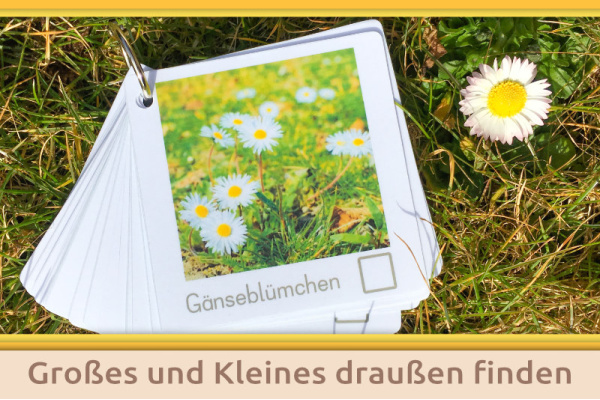 material_klassen_titel_4_127808750