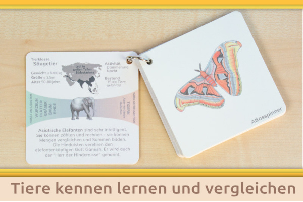 material_klassen_titel_5