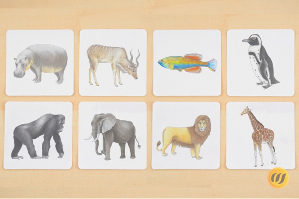 Paare finden - Tiere Afrikas memory_afrika
