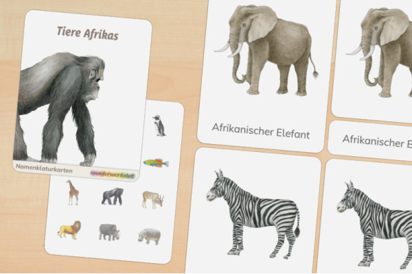 18 Nomenklaturkarten Tiere Afrikas 18 Nomenklaturkarten Tiere Afrikas