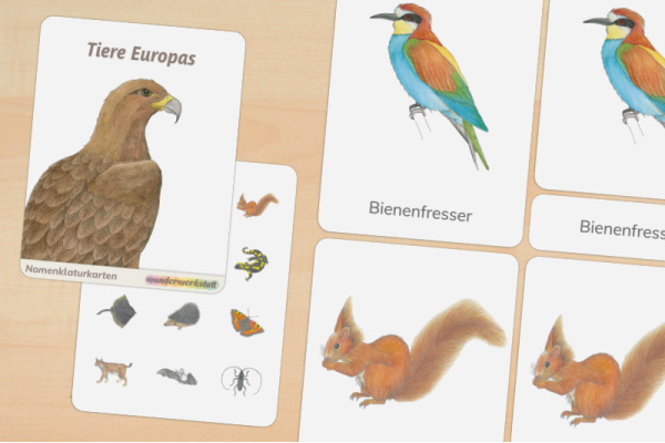 20 Nomenklaturkarten Tiere Europas