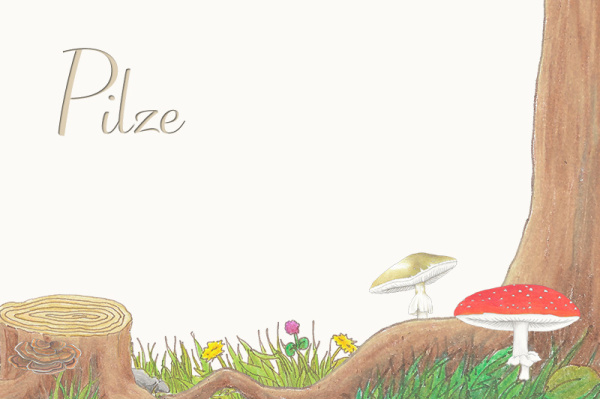 p-pilze