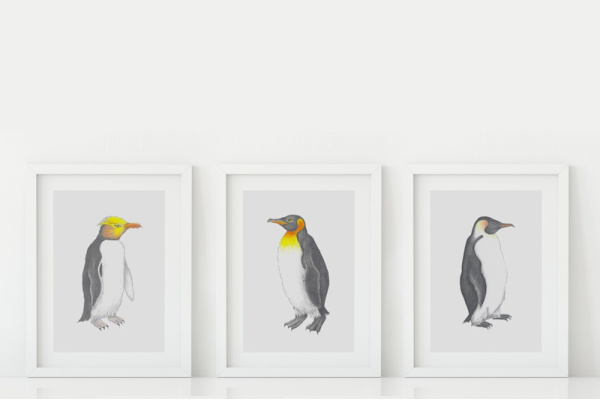 pinguin_paket_drucke